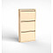 Vertical Shoe Cabinet 115 x 60 x 17